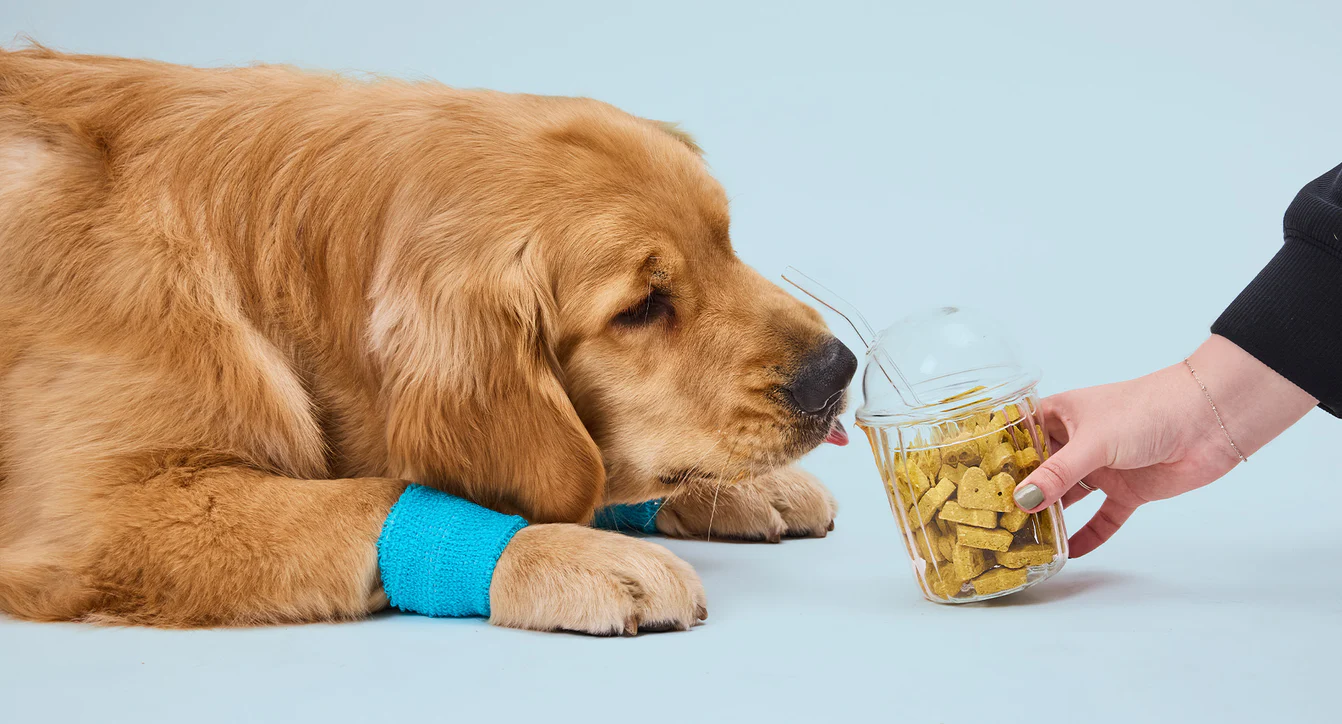 Welcome to Our Store